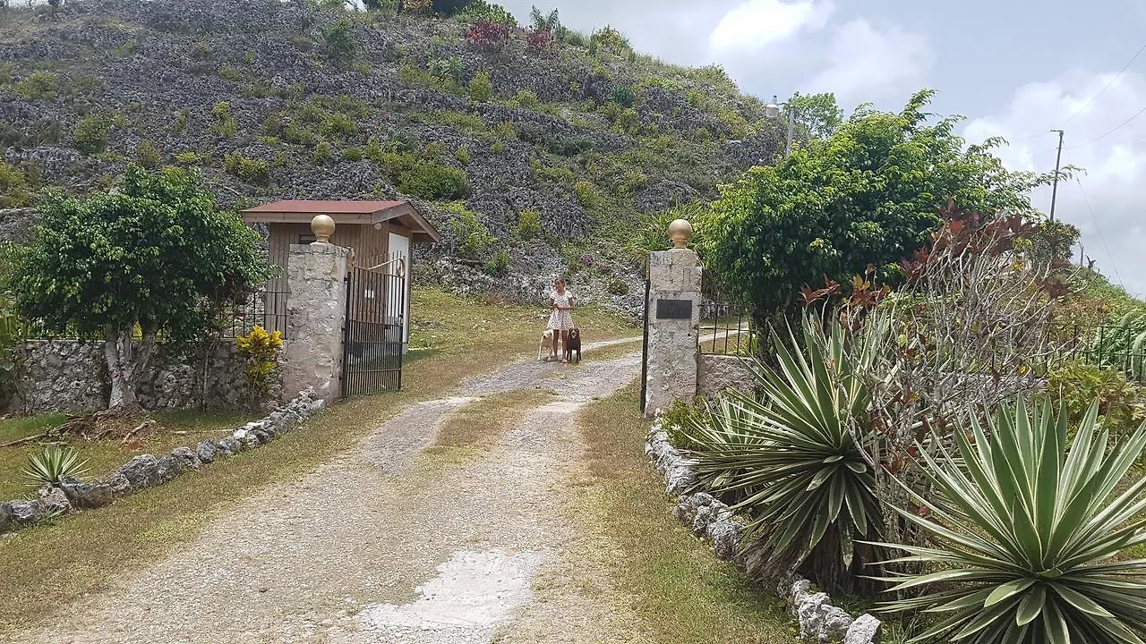 Geddes Great House Otel Saint Annʼs Bay Jamaika