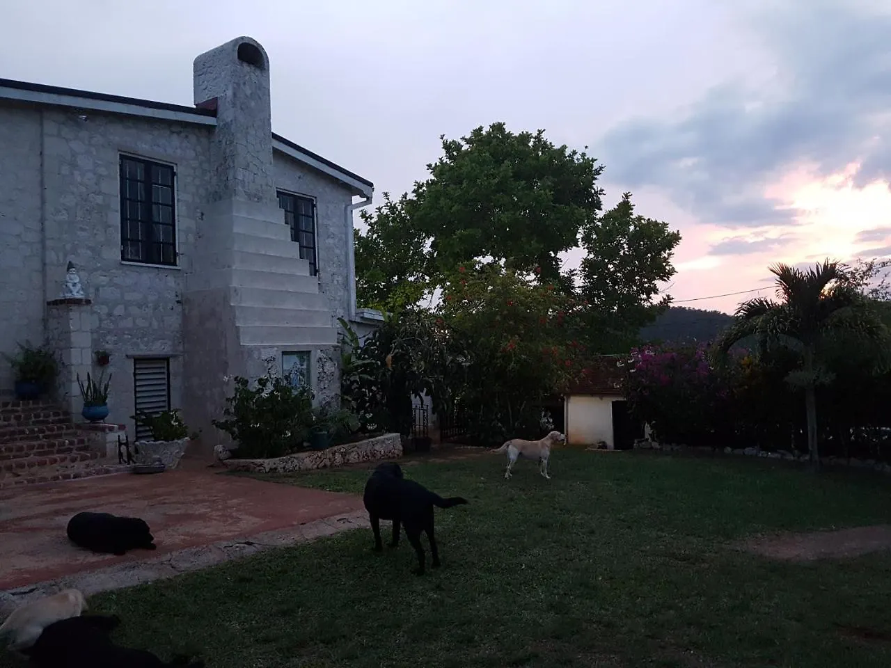 Han/Misafirhane Geddes Great House Otel Saint Annʼs Bay Jamaika