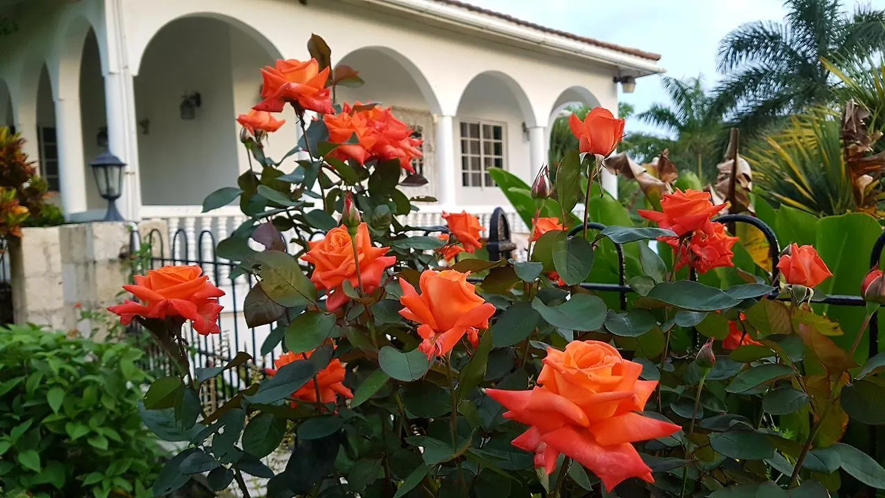 Inn Geddes Great House Hotel Saint Ann's Bay Jamaica