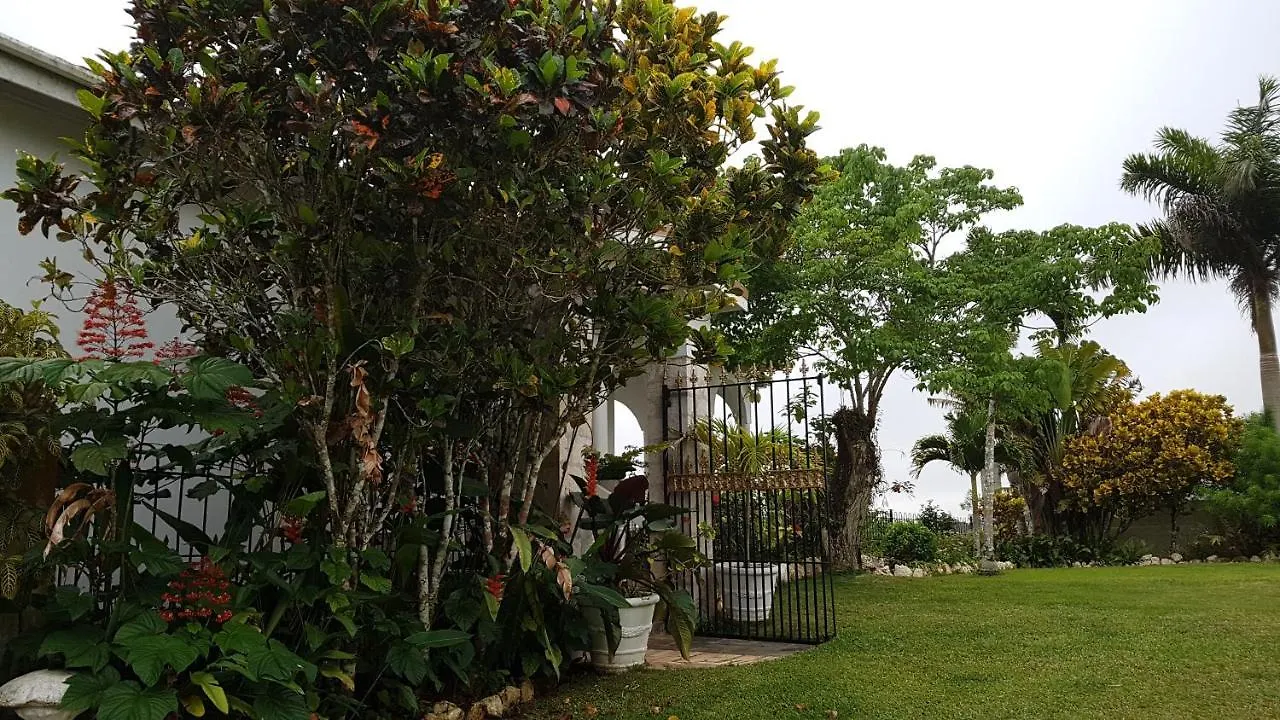 Geddes Great House Hotel Saint Ann's Bay Inn