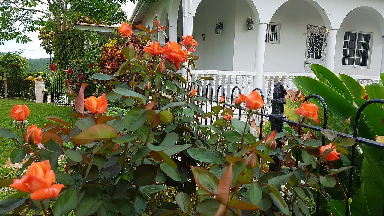 Geddes Great House Hotel Saint Ann's Bay Inn